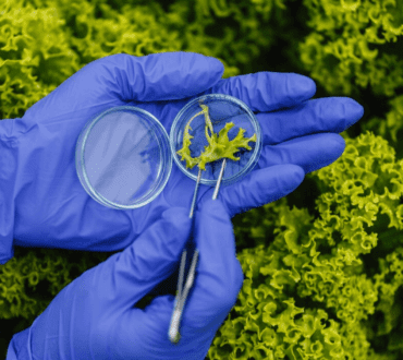 Biotechnology – Sustainable Materials with Synthetic Biology